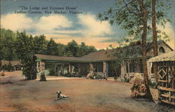 Endless Caverns - Lodge and Entrance House Postcard