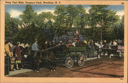 Pony Cart Ride, Prospect Park Brooklyn, NY Postcard Postcard 