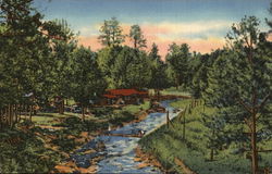 Rio Ruidoso, The Noisy River New Mexico Postcard Postcard Postcard