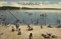 Looking East From Conneaut Lake Park Pennsylvania Postcard Postcard 