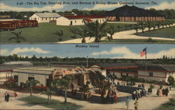 Ringling Brothers and Barnum & Bailey Circus Winter Quarters Sarasota, FL Postcard Postcard Postcard