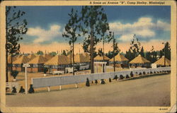 A scene on Avenue "B", Camp Shelby Hattiesburg, MS Postcard Postcard 