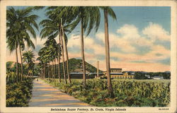 Bethlehem Sugar Factory St. Croix, VI Virgin Islands Caribbean Islands Postcard Postcard Postcard