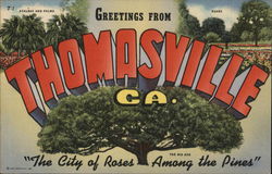 Greetings from Thomasville, GA "The city of roses among the pines" Postcard