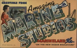 Greetings From Amazing Marine Studios Postcard