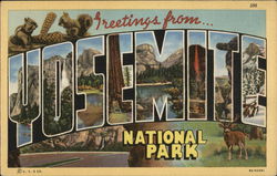 Greetings from Yosemite National Park California Postcard Postcard Postcard