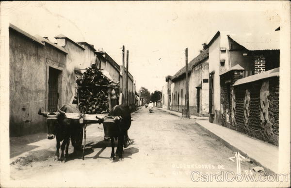 Ox pulling a cart of wood on a street in Mexico 1925