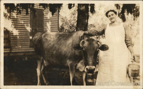 Cow With Dairy Maid And Milking Pail Cows & Cattle
