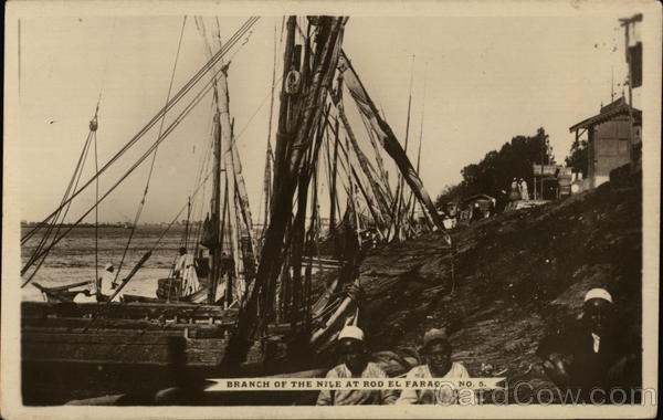 Branch of the Nile Rod El farao Egypt Africa