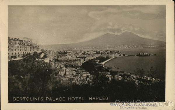 Aerial View of Bertolini's Palace Hotel Naples Italy