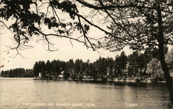 Cottages on the Lake Silver Lake New Hampshire