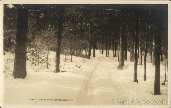 Road To Diana's Bath North Conway New Hampshire