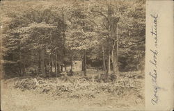 Maple Grove Postcard