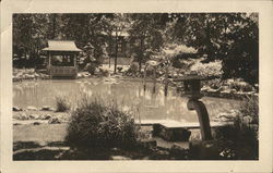 Asian Garden and Pond, Clemson Park Postcard