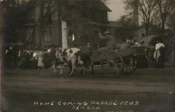 Home Coming Parade Views - Ox Team Horse-Drawn Postcard Postcard Postcard