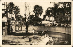 Monkey Island, Municipal Zoo Postcard