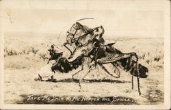 Take Me Back to My Hopper and Saddle - Grasshopper Take Me Back to My Hopper and Saddle - Grasshopper