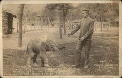 Trainer E. M. Schider Introducing Prince Utah, Eighth Wonder of the World Elephants Postcard Postcard Postcard