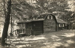 Cottage No.10, Pine Forest Resort Postcard