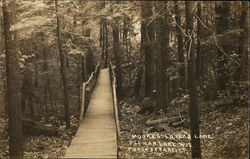 Moore's Lover's Lane Postcard
