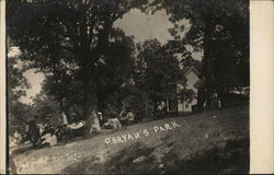 Summertime At O'Bryan's Park Postcard