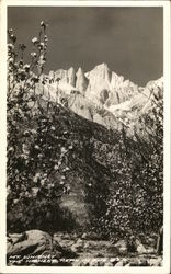 Looking Up at Mt. Whitney Mount Whitney, CA Postcard Postcard Postcard