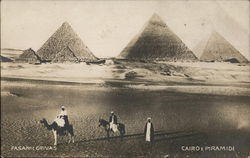 Pyramids of Cairo Postcard