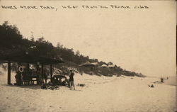 Dunes State Park Chesterton, IN Postcard Postcard Postcard