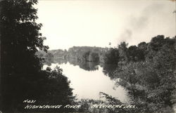 Kishwaukee River Postcard