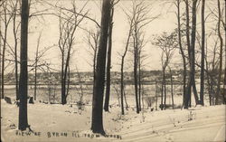 View of Town from Woods Byron, IL Postcard Postcard Postcard