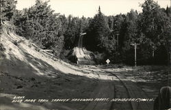Deer Park Trail through Hardwood Forest Newberry, MI Postcard Postcard Postcard