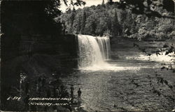 Tahquamenon Falls Newberry, MI Postcard Postcard Postcard