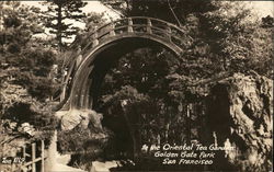 Stock #561572 Thumbnail