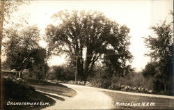 Grandfathers Elm Mirror Lake, NH Postcard Postcard Postcard