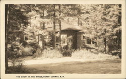 The Shop in the Woods North Conway, NH Postcard Postcard Postcard