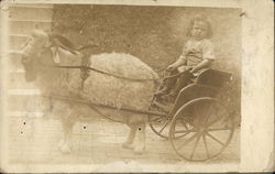 A baby sits in a goat cart - October 1916 Davenport, IA Postcard Postcard Postcard