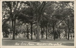 City Park Ackley, IA Postcard Postcard Postcard