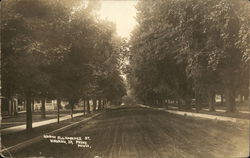 North Allamakee Street Waukon, IA Postcard Postcard Postcard