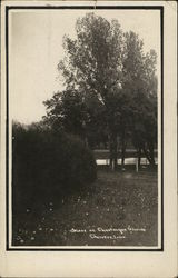 Chautauqua Grounds Postcard