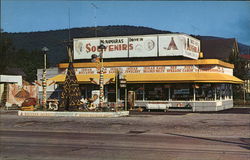 McNamara's Drive In Salamanca, NY Postcard Postcard Postcard