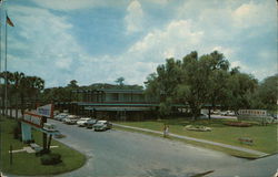 Florida's Silver Springs Postcard