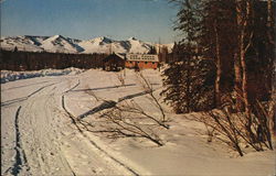 The Forks Roadhouse Petersville, AK Postcard Postcard Postcard