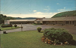 Buena Vista Motel Postcard