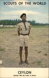 Scouts of the World, Ceylon Boy Scouts Postcard Postcard Postcard