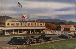 Sterling Alaska Fur & Game Farms Lake Placid, NY Postcard Postcard Postcard