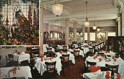 Stock #562328 Thumbnail