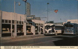 Greyhound and Parrish Stage Lines Bus Station Postcard