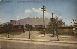 Motel Alamo Postcard