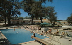 Flamingo Hotel Court Biloxi, MS Postcard Postcard Postcard