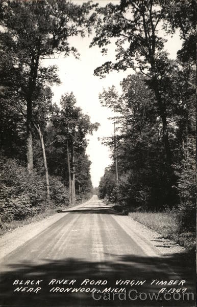 Black River Road, Virgin Timber Ironwood Michigan